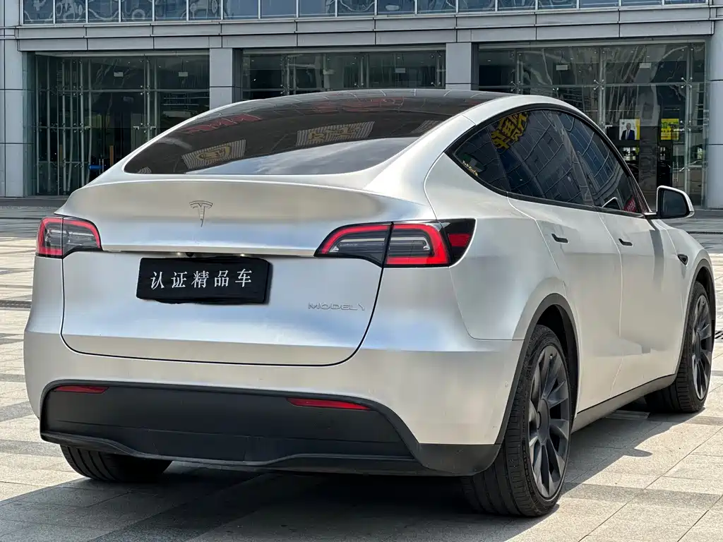 Tesla Model Y — миниатюра 5