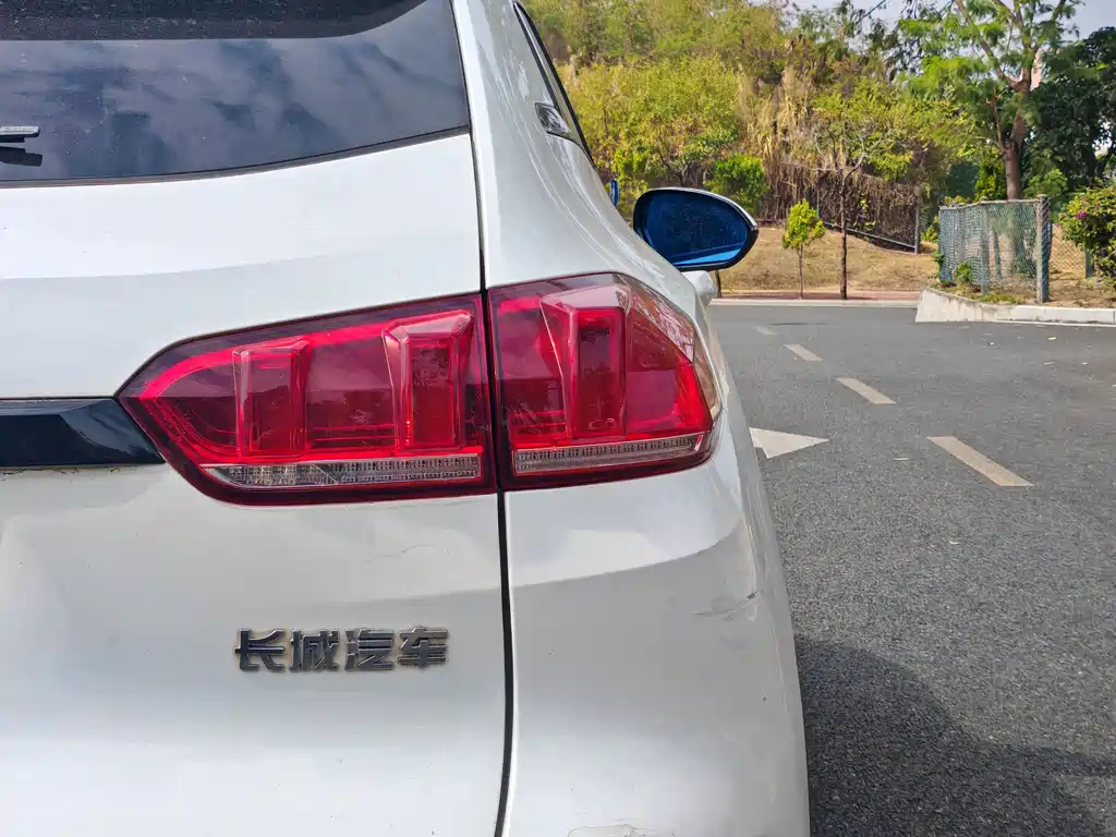 WEI PAI WEI BRAND VV5