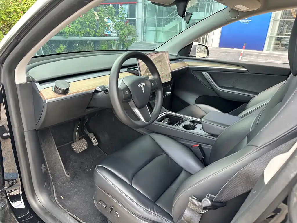 Tesla Model Y — миниатюра 17