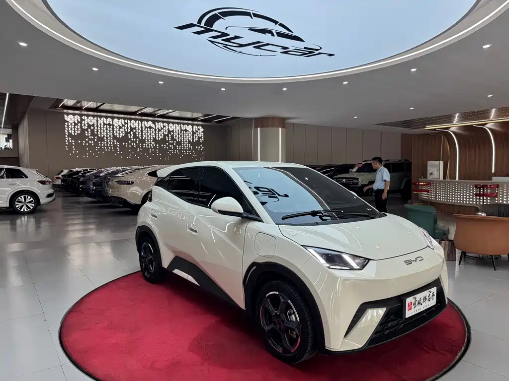 BYD Seagull 2023 Freedom