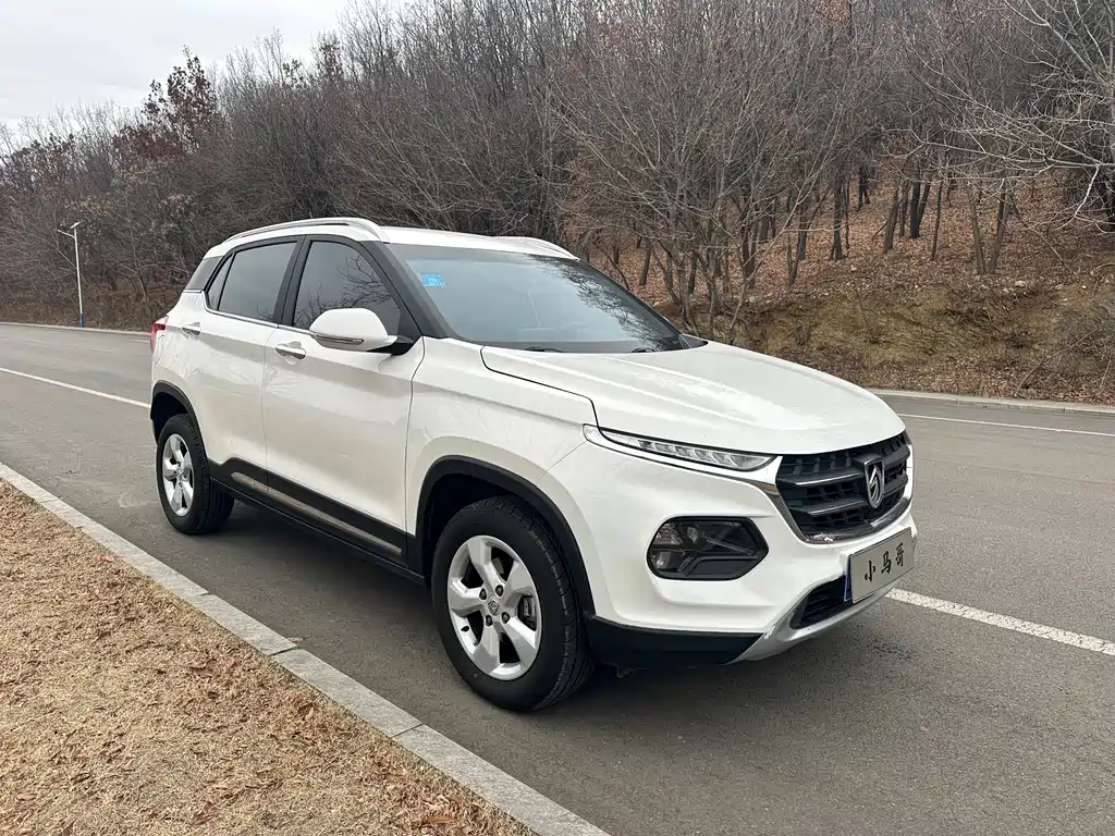 BAOJUN 510