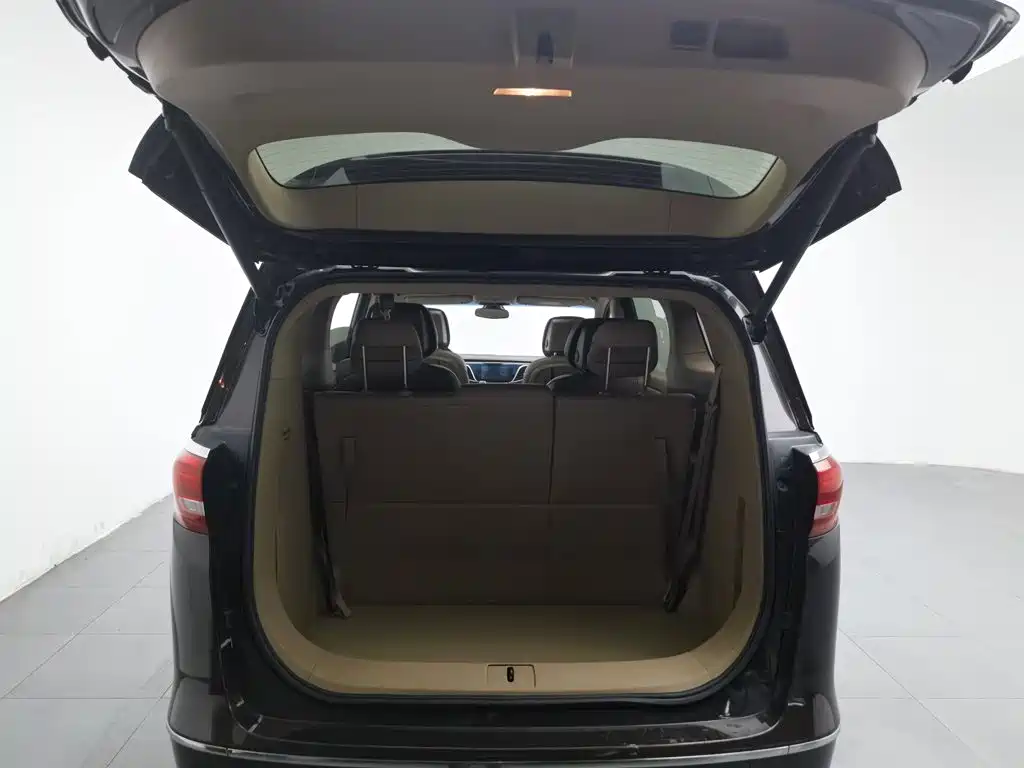 Buick GL8 — миниатюра 16