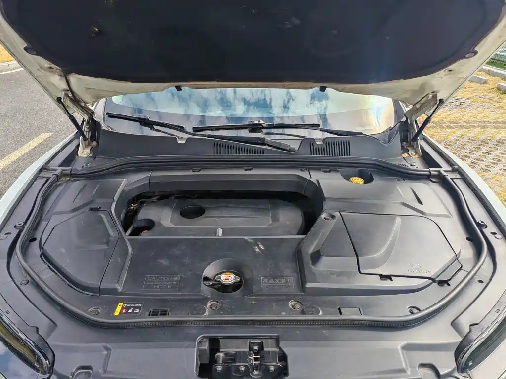 WEI PAI WEI BRAND VV5