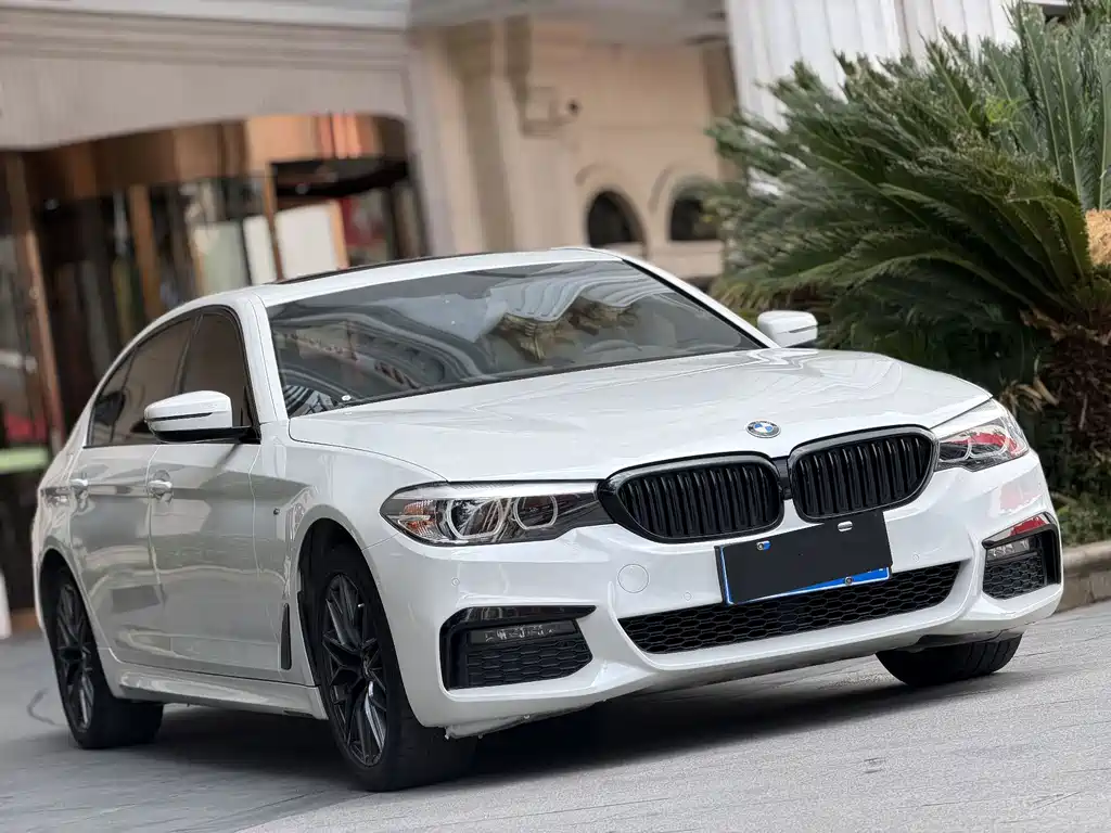 BMW 5 Series — миниатюра 2