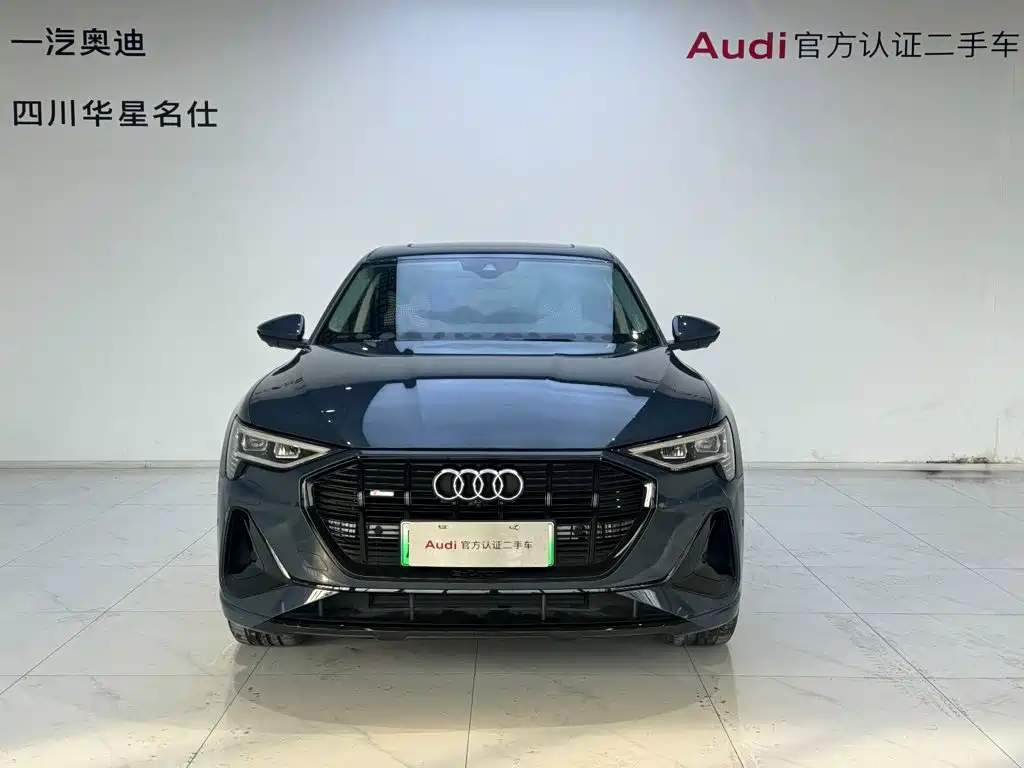 Audi e-tron (Import) — миниатюра 2