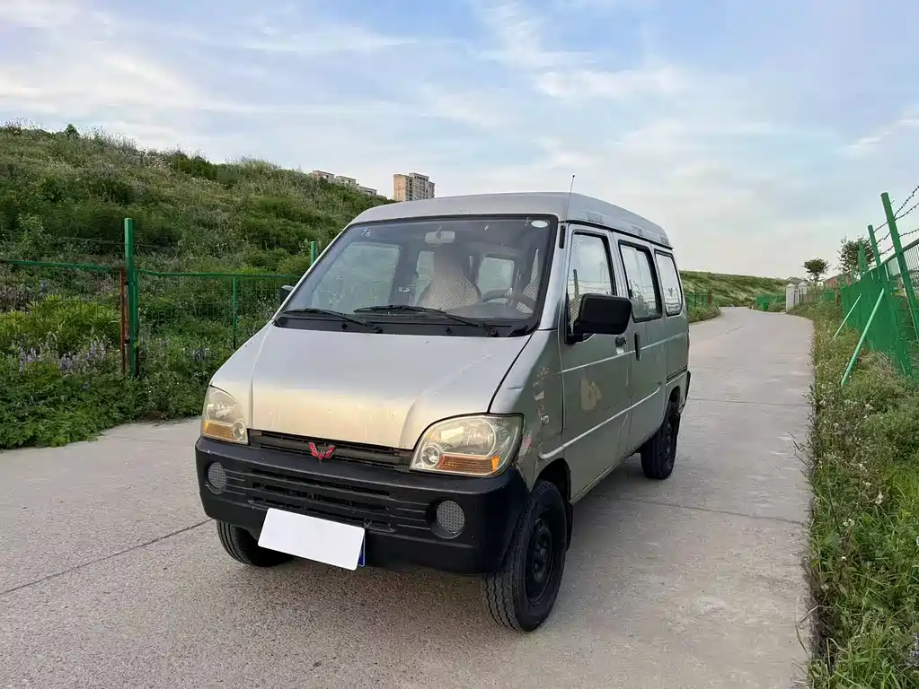 Wuling Zhiguang 2013