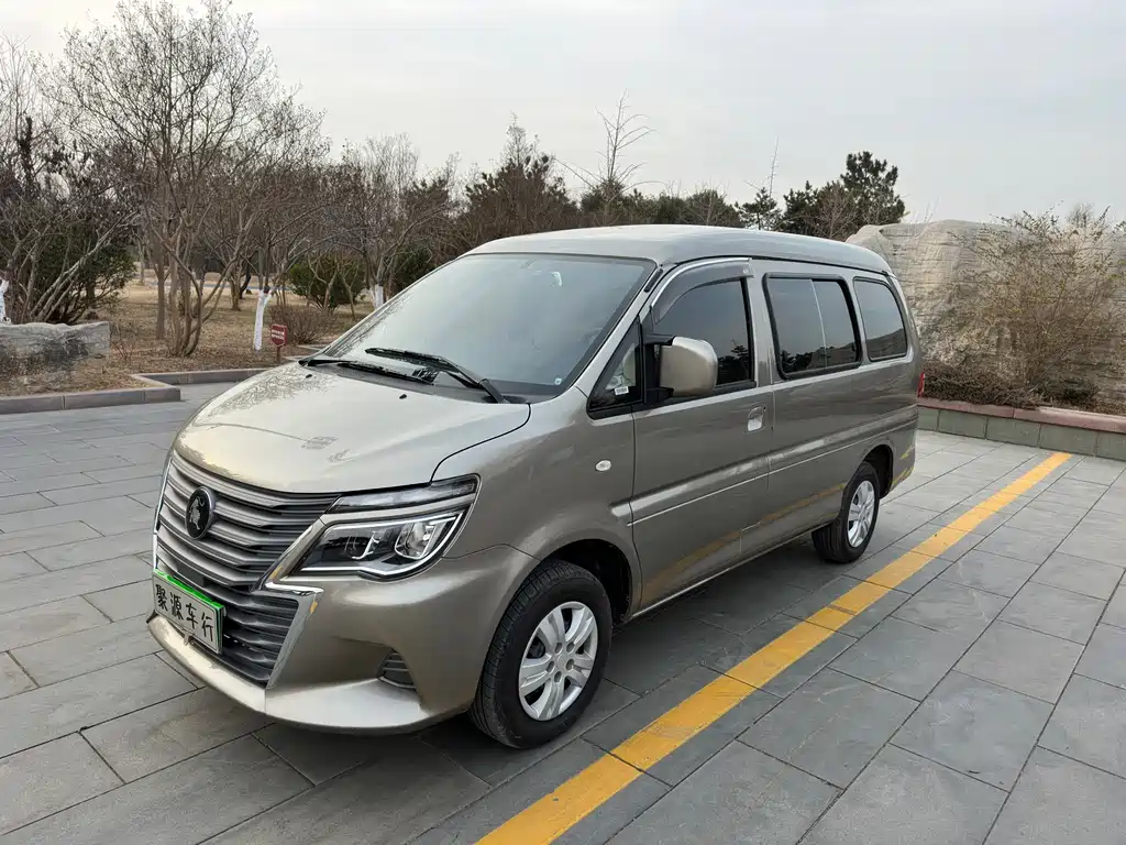 DONGFENG LINGZHI