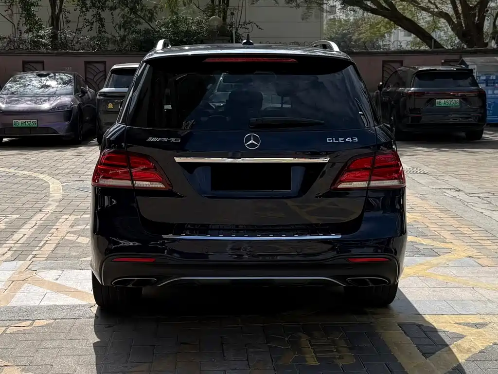 Mercedes-Benz GLE AMG AMG GLE 43 4MATIC, фото 21