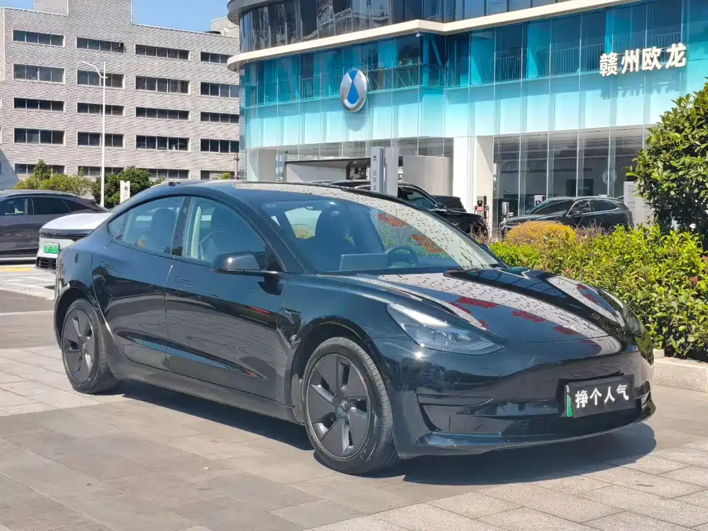 Tesla Model 3 — миниатюра 3