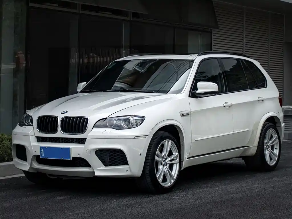 BMW X5 2010 X5 M
