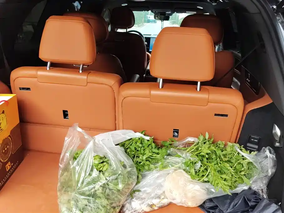 AITO ASK THE WORLD M9