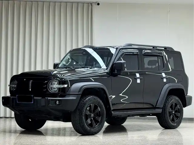 2021 TANK 300