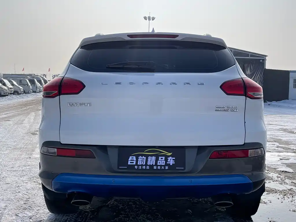 CHEETAH CARS CHEETAH CS10