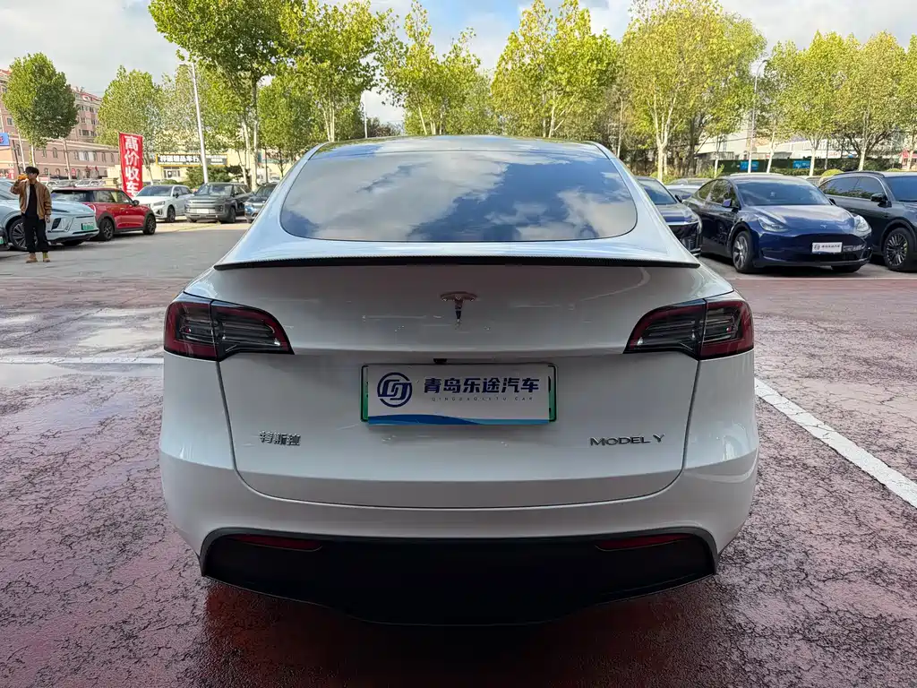 Tesla Model Y — миниатюра 5