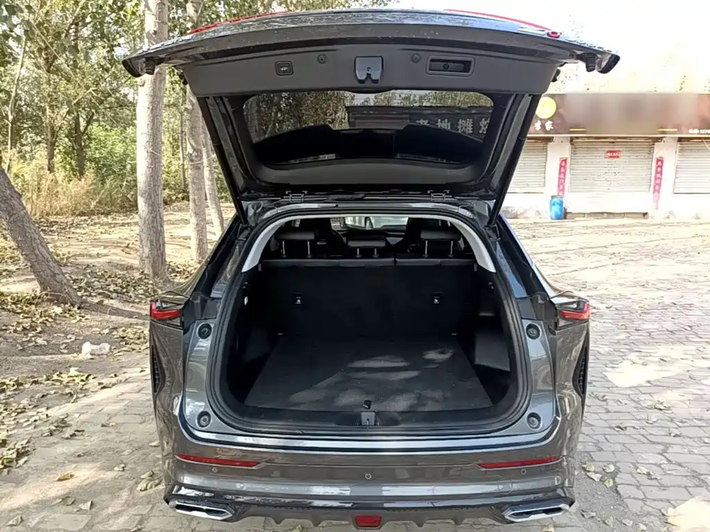 Oshan Oushang Z6 — миниатюра 19