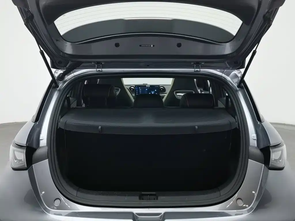 BYD Dolphin — миниатюра 16
