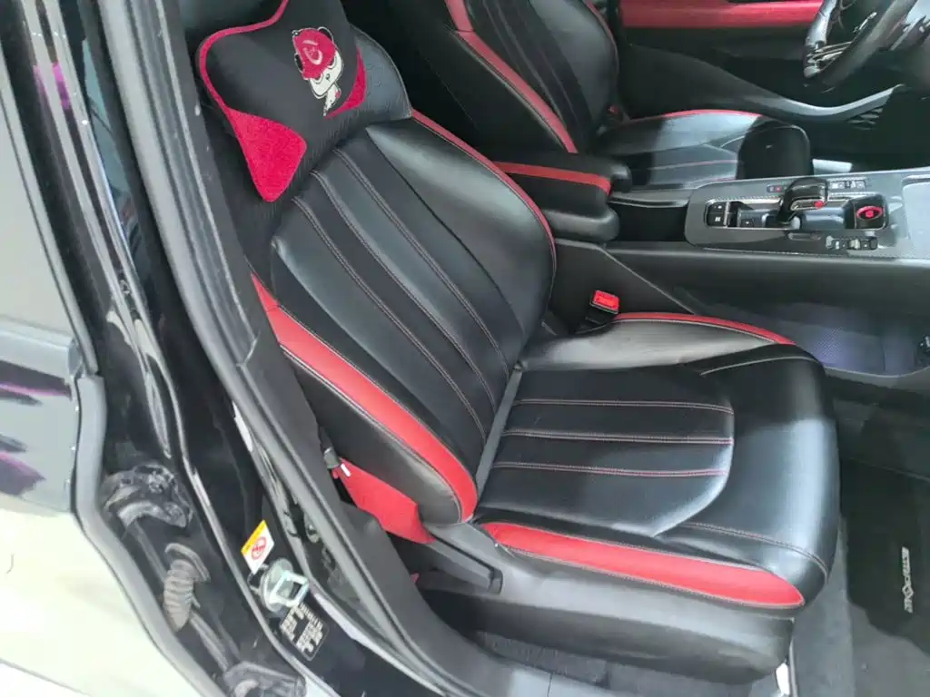 GAC Motor Shadow Leopard — миниатюра 25