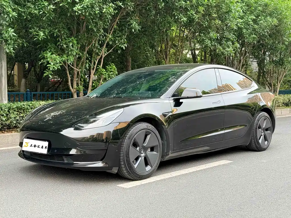 Tesla Model 3 2021