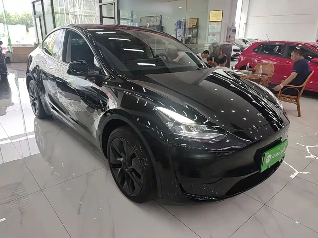Tesla Model Y — миниатюра 4