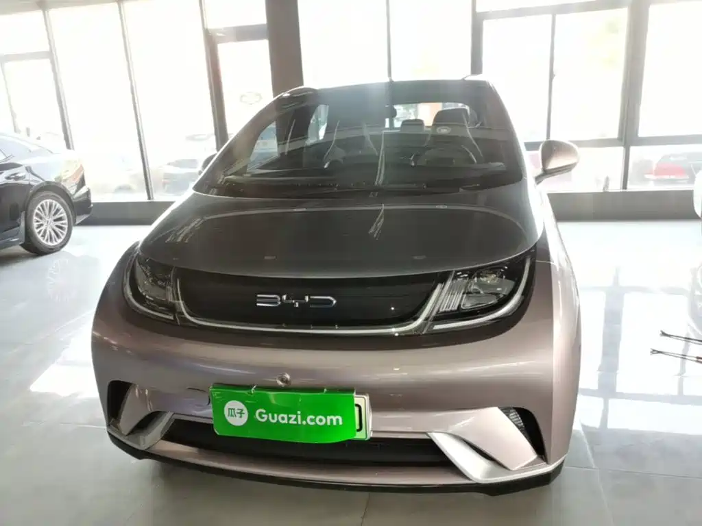 BYD Dolphin — миниатюра 3