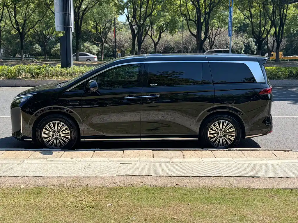 BYD Xia — миниатюра 4