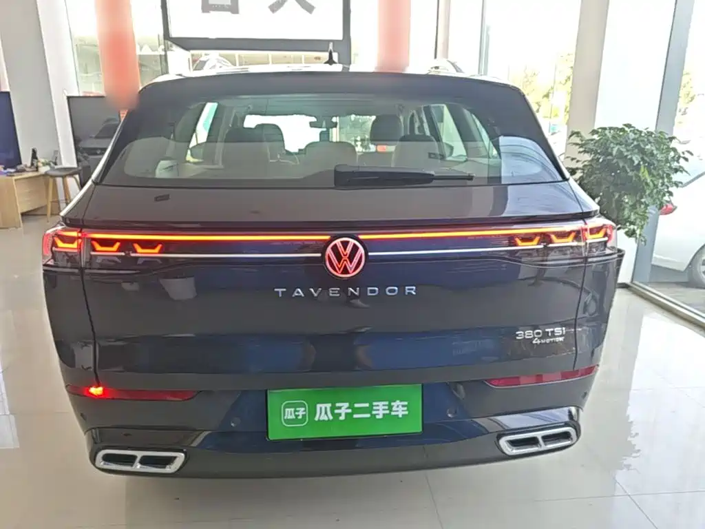 Volkswagen Tavendor — миниатюра 6