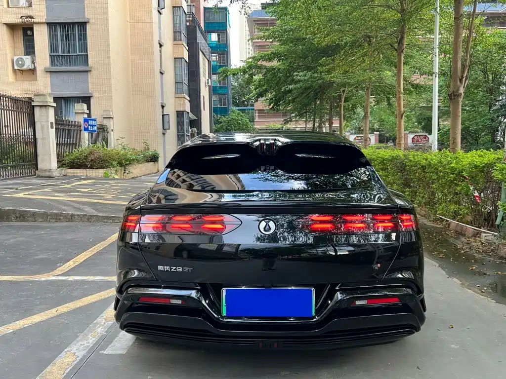 Denza Denza Z9GT — миниатюра 9