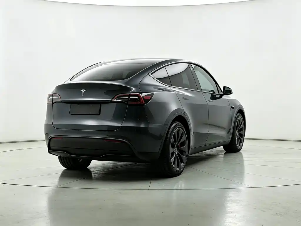 Tesla Model Y — миниатюра 9