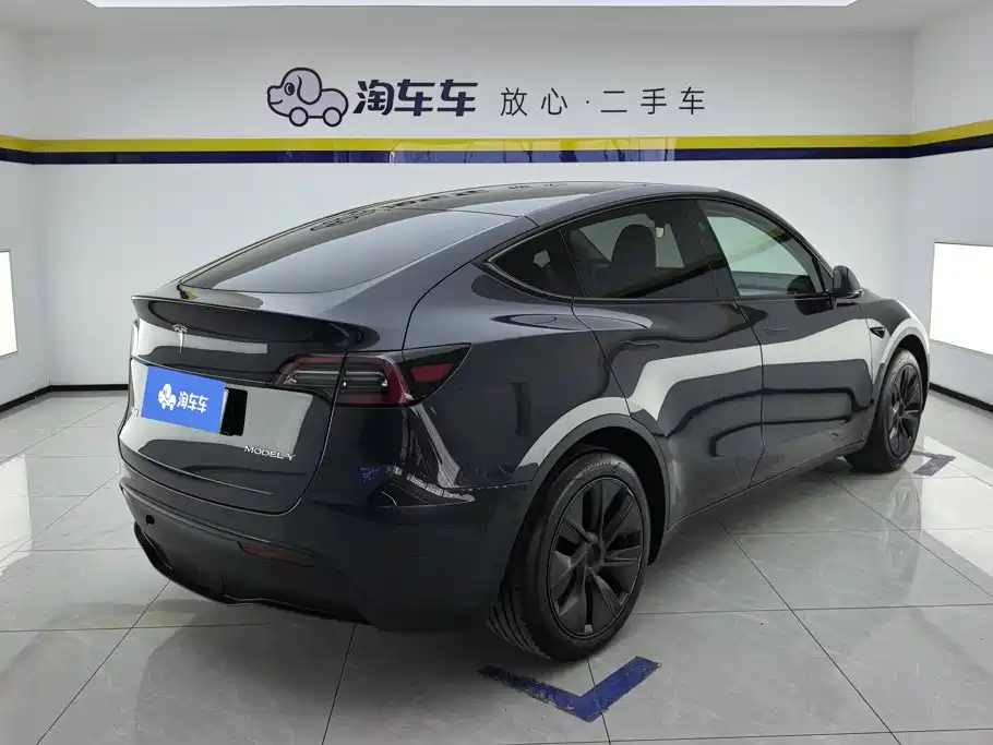 Tesla Model Y — миниатюра 3