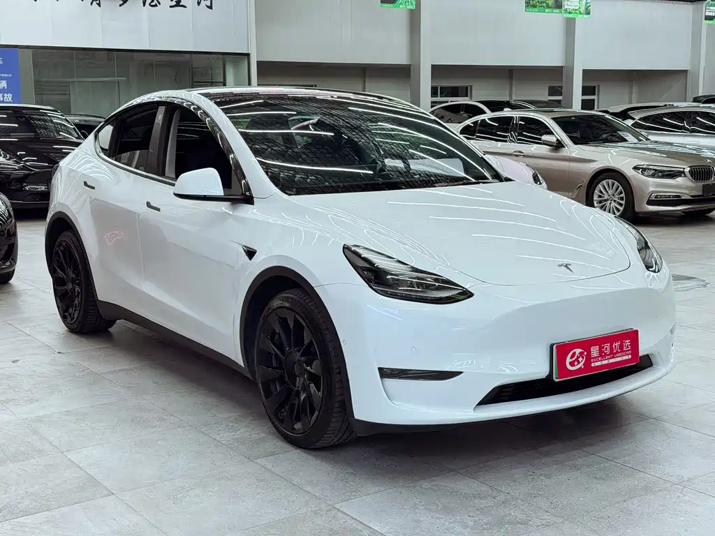 Tesla Model Y — миниатюра 3