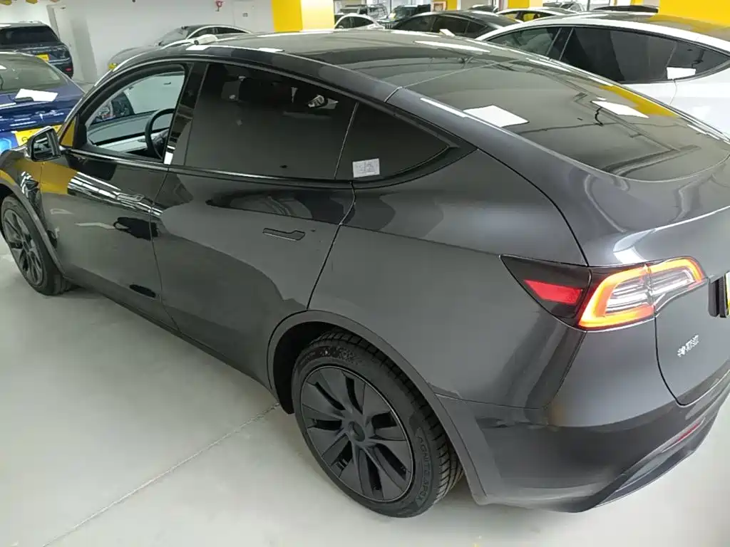 Tesla Model Y — миниатюра 5