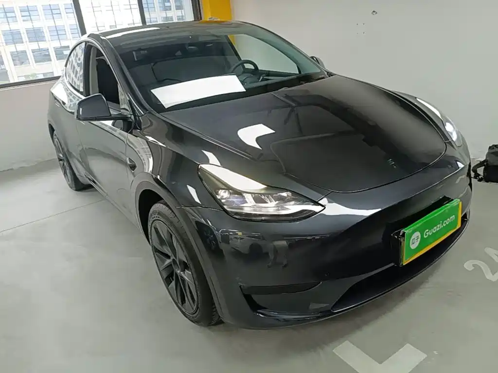 Tesla Model Y — миниатюра 4