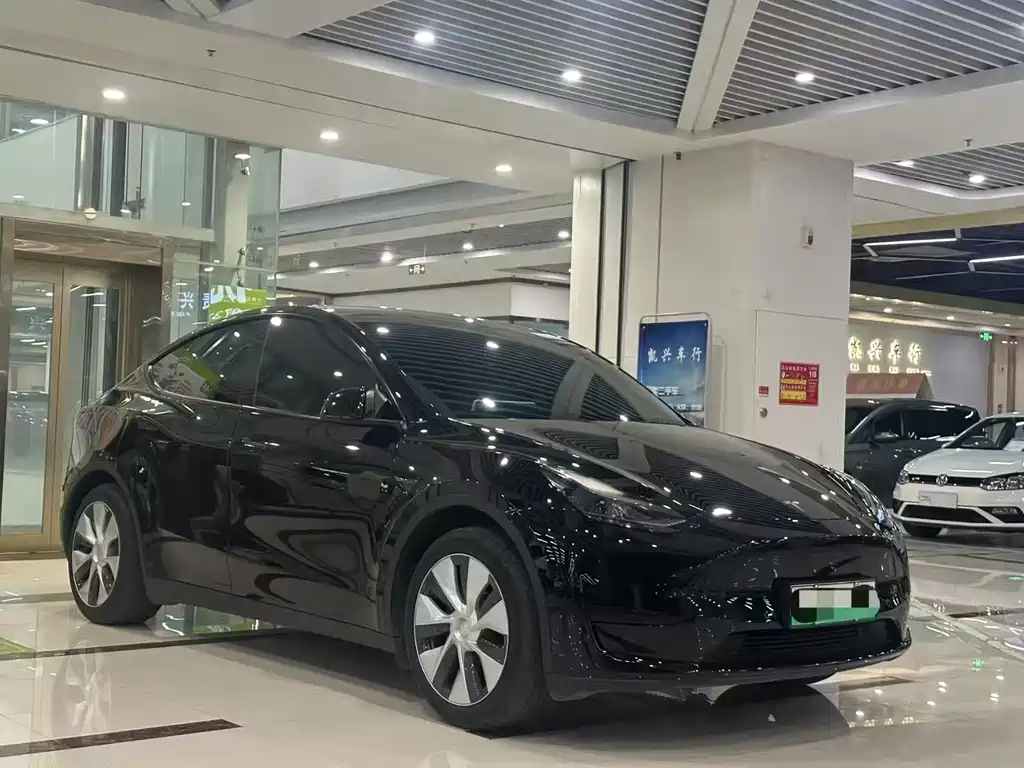 Tesla Model Y — миниатюра 3