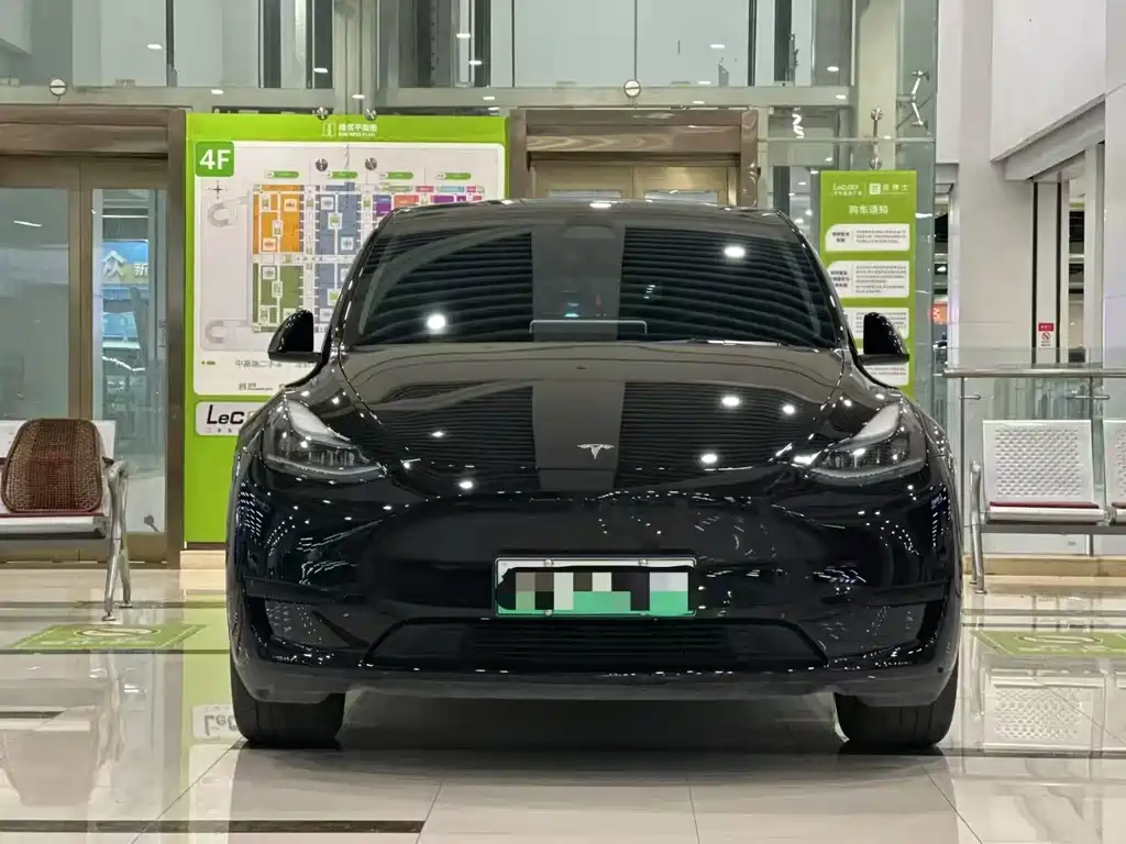 Tesla Model Y — миниатюра 2