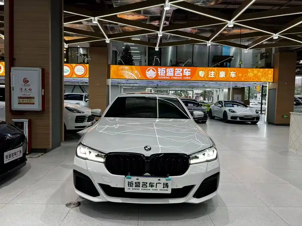 BMW 5 Series (Import) — миниатюра 10