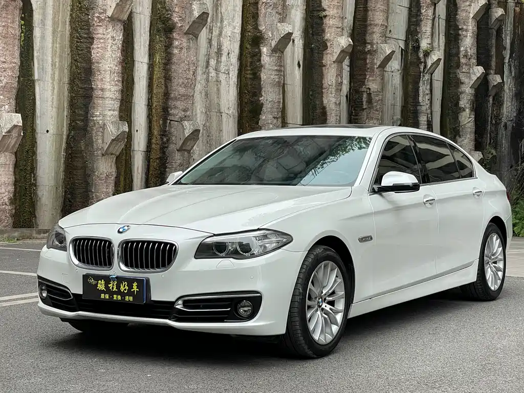 BMW 5 Series 2014