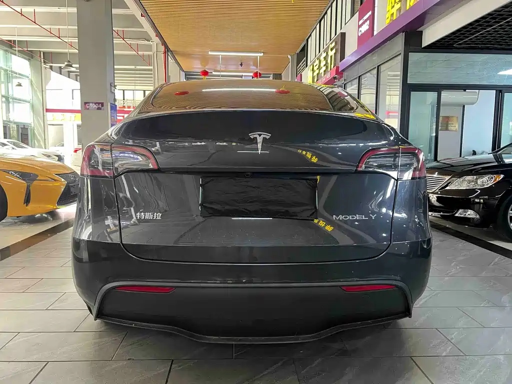 Tesla Model Y — миниатюра 3
