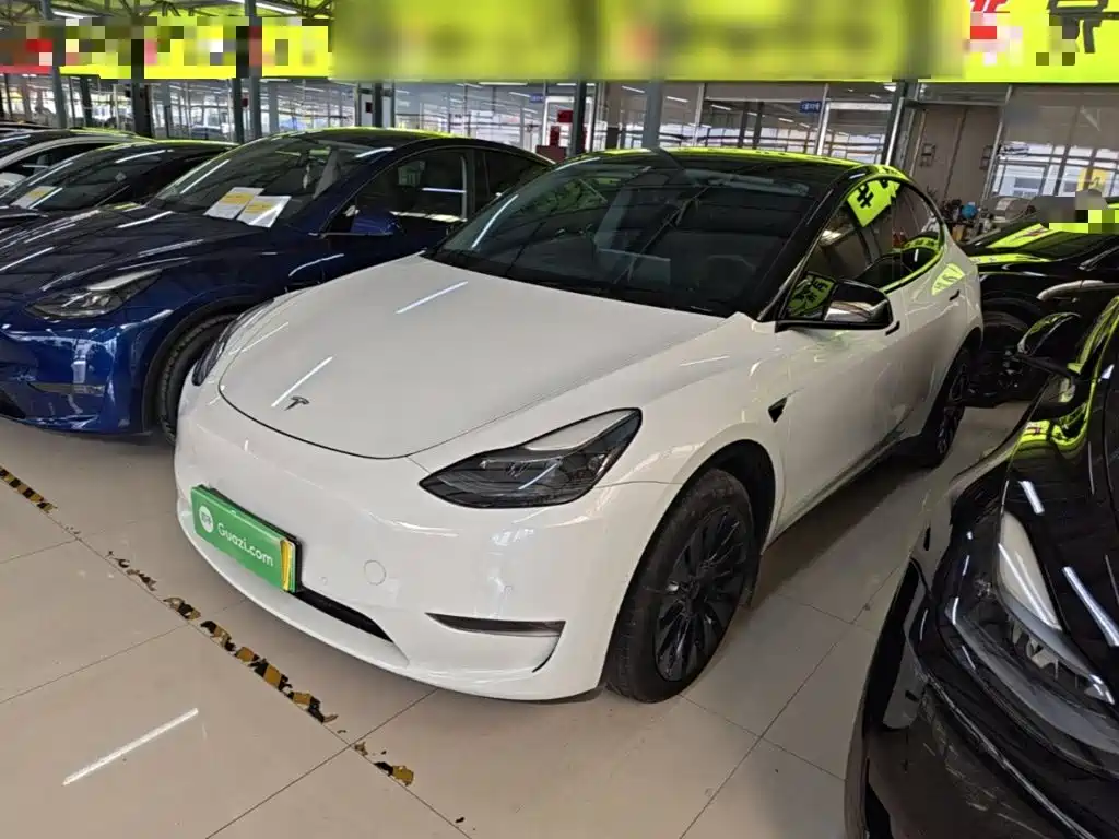 Tesla Model Y — миниатюра 2