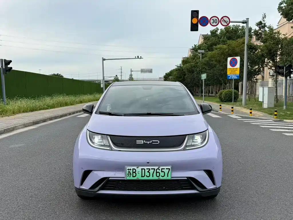 BYD Dolphin — миниатюра 2
