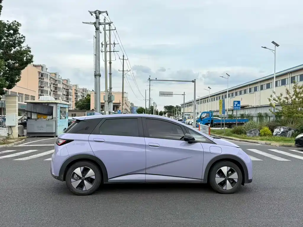 BYD Dolphin — миниатюра 8