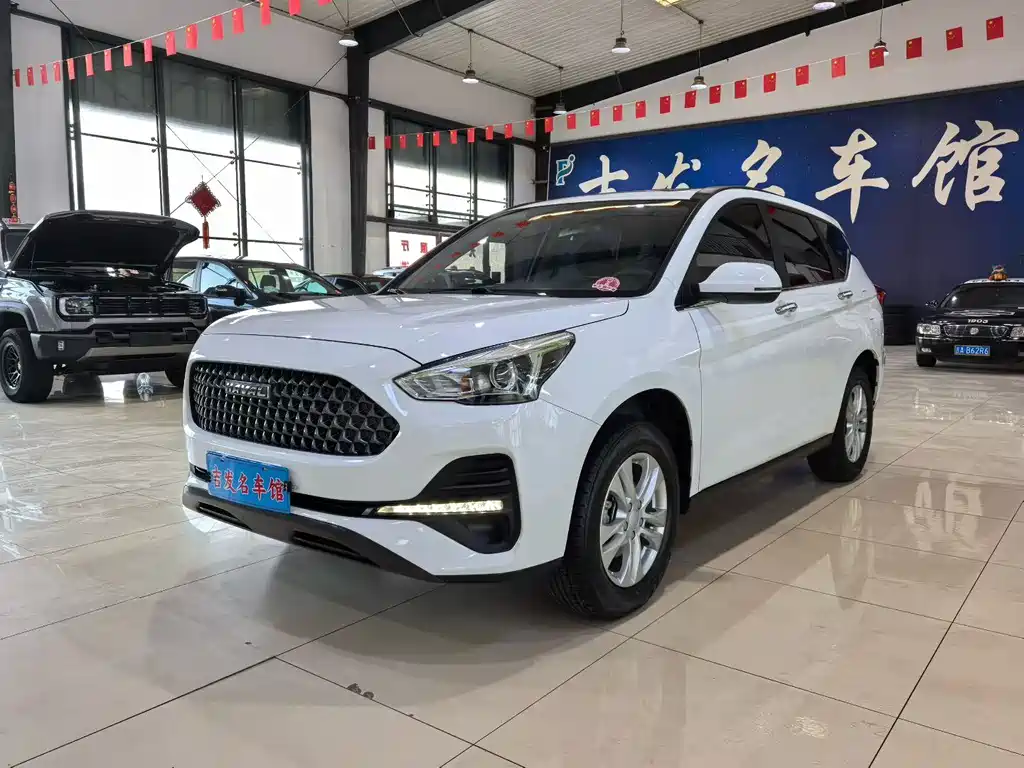 HAVAL M6