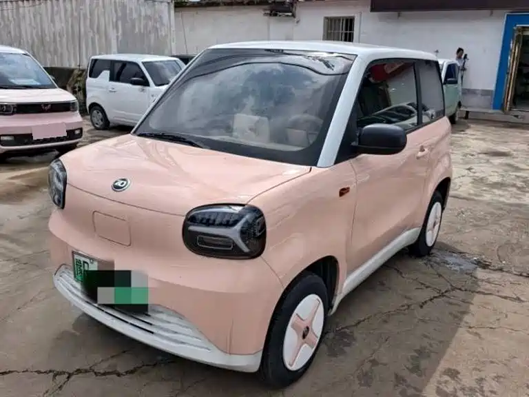 Zhidou Zhido Rainbow 2024