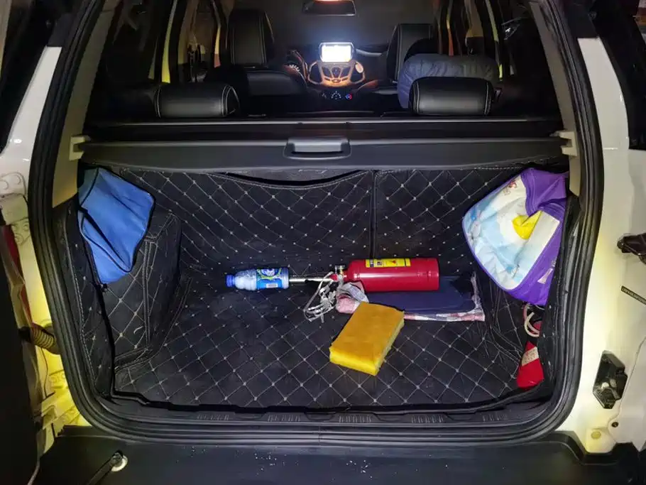 Ford Ecosport — миниатюра 4