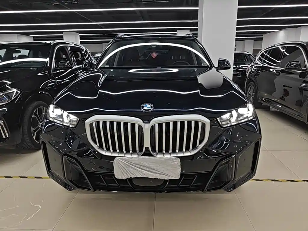 BMW X5 — миниатюра 3