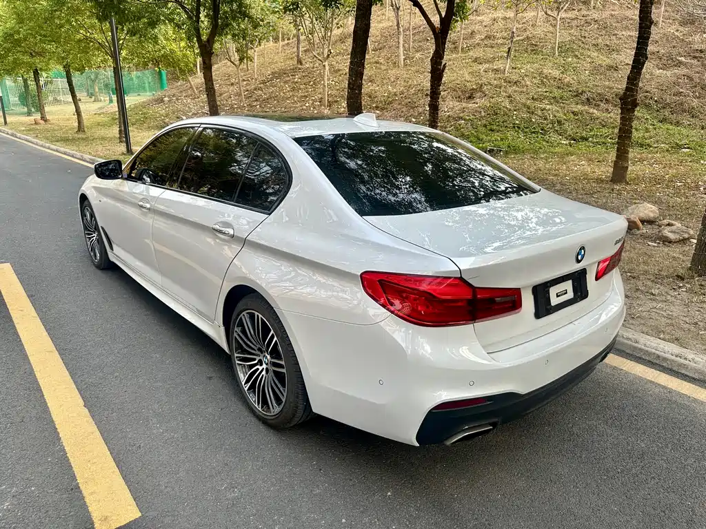 BMW 5 SERIES