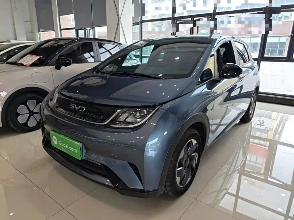 BYD Dolphin — миниатюра 2