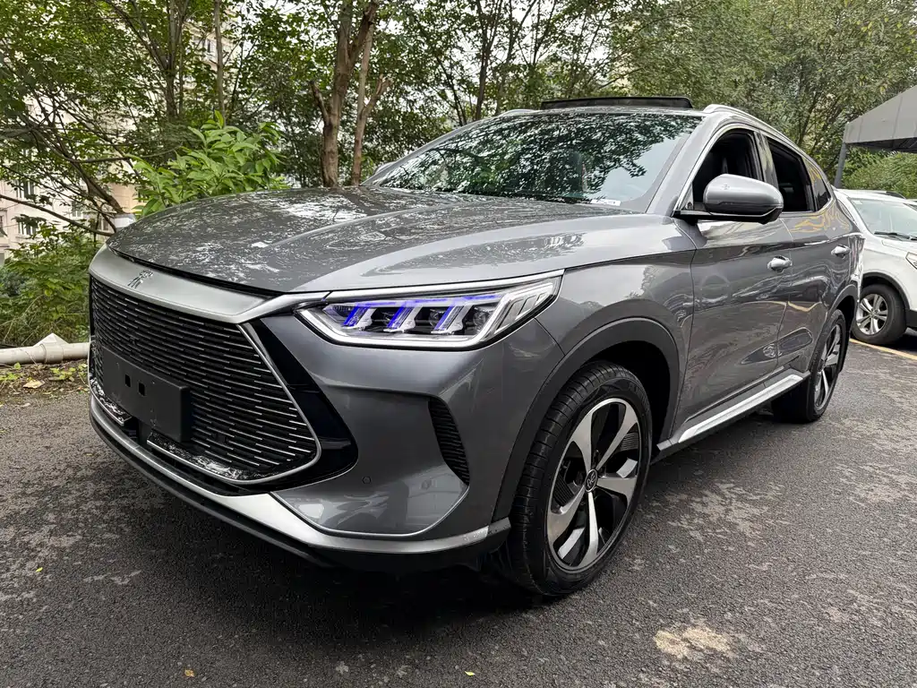 BYD PLUS New Energy 2022
