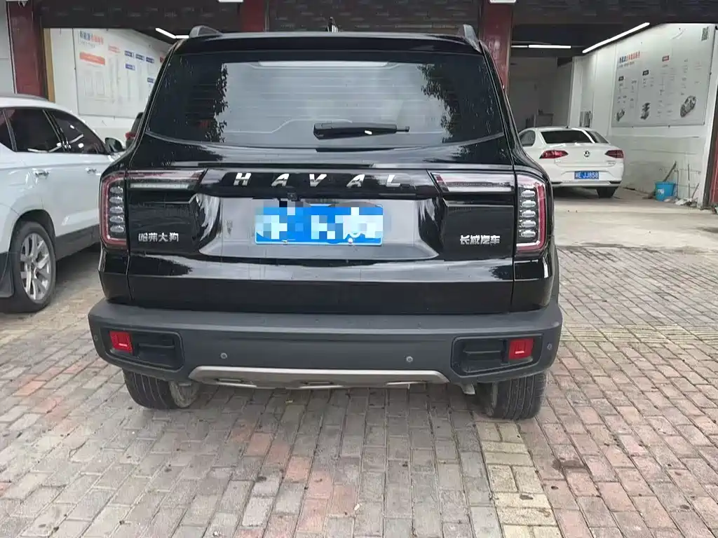 Haval Big Dog — миниатюра 8