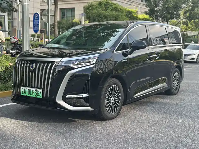 2025 Denza D9