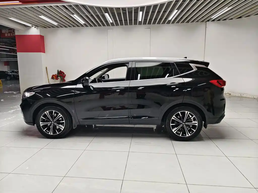 Wey Wey VV6 — миниатюра 11